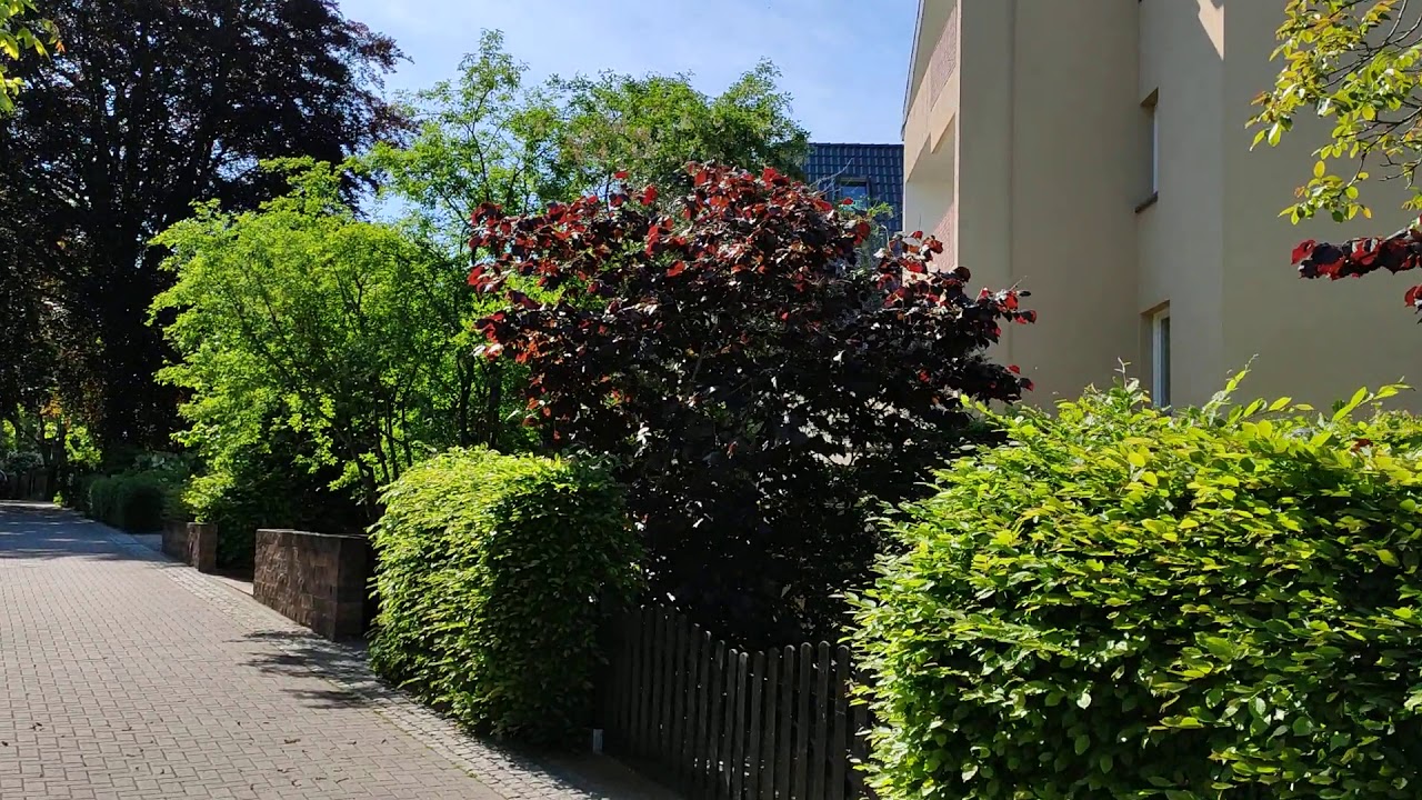 VIP mit Trecker im Stadtteil Bremen Burg-Lesum