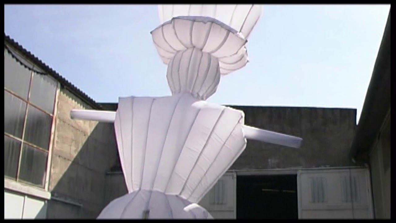 Documentaire historique Plasticiens Volants