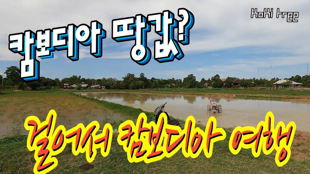 캄보디아 씨엠립 땅값은? '걸어서 캄보디아 여행'
