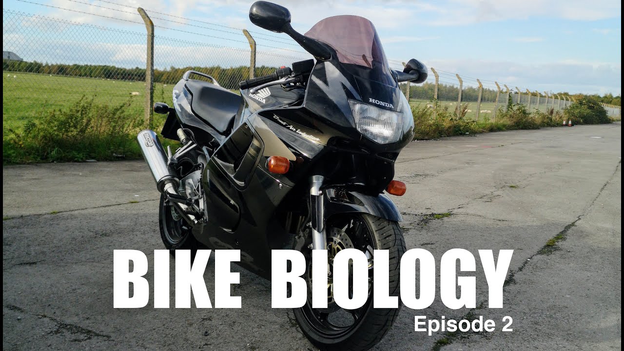 BIKE BIOLOGY Episode 2 - Honda CBR600 tank removal