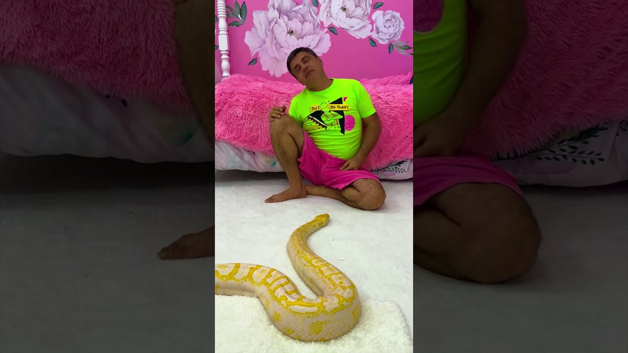 Dad scared of the snake. Funny prank from Nastya.