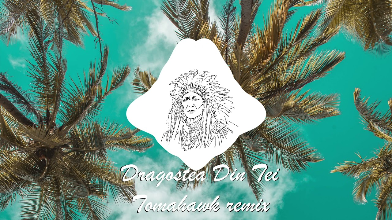 O-Zone - Dragostea Din Tei (Tomahawk Remix)