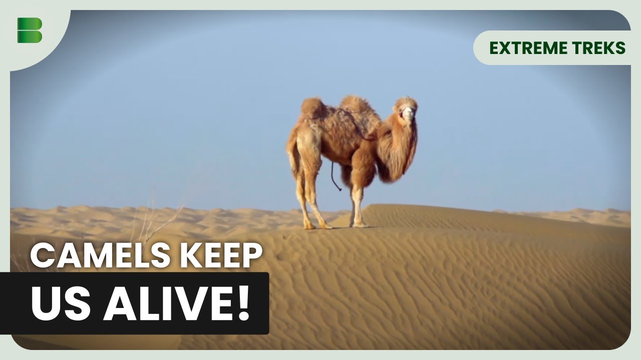 One of the World's Harshest Deserts? | Extreme Treks | Documentary