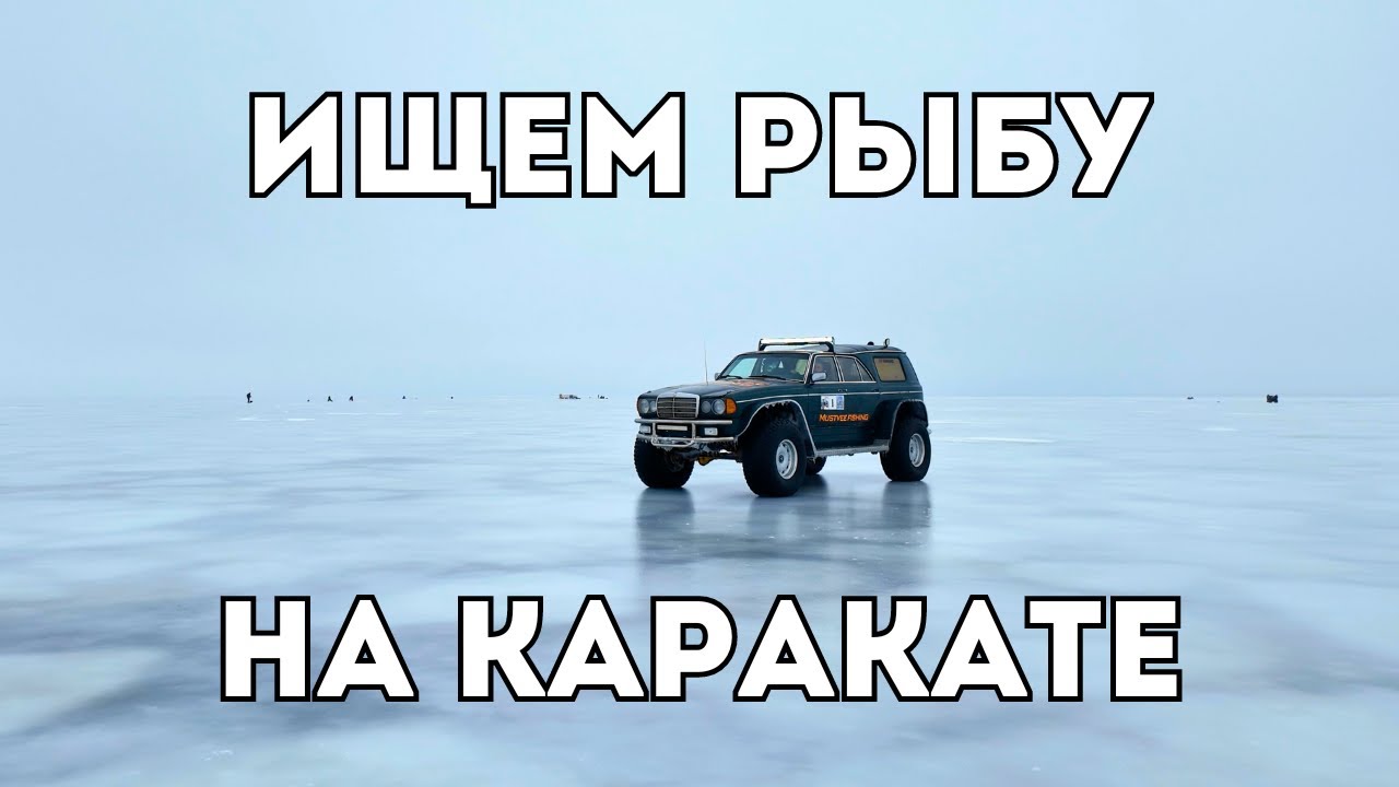 За рыбой на Каракате. Ловля окуня на Чудском озере. Кто умеет - тот поймал.