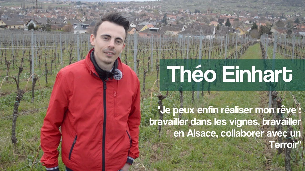 Th&eacute;o Einhart - Taille Douce, Biodynamie et Jeunesse &agrave; Rosenwiller