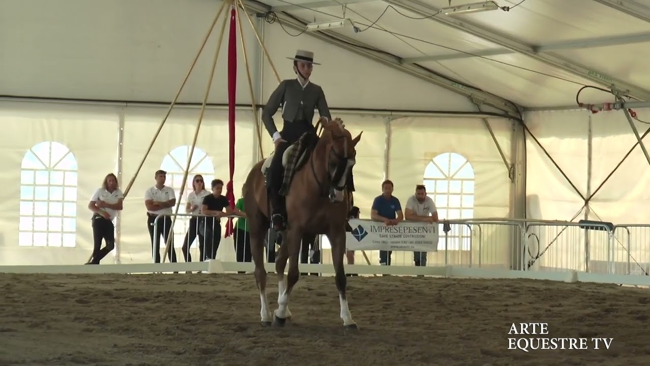 ARTE EQUESTRE TV - GOISIS SILVIA SU MANGO- DOMATI - TREVIGLIO CAVALLI 2024