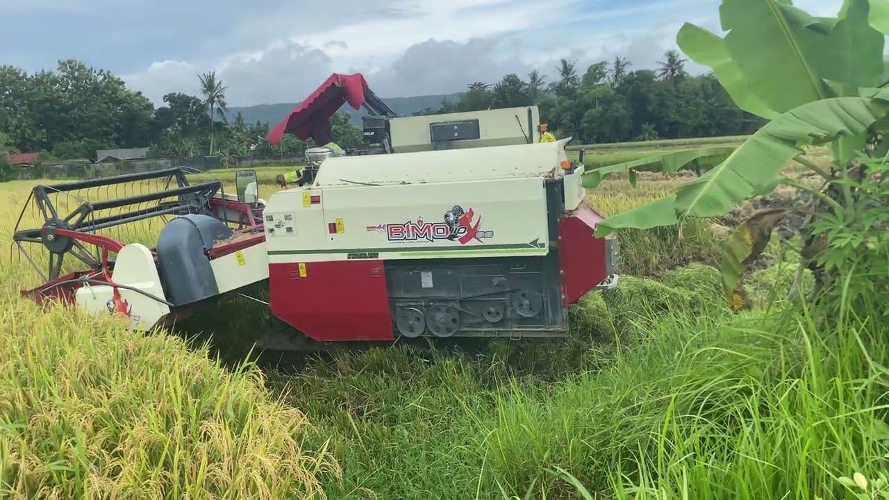 Mesin panen padi Combi Bima