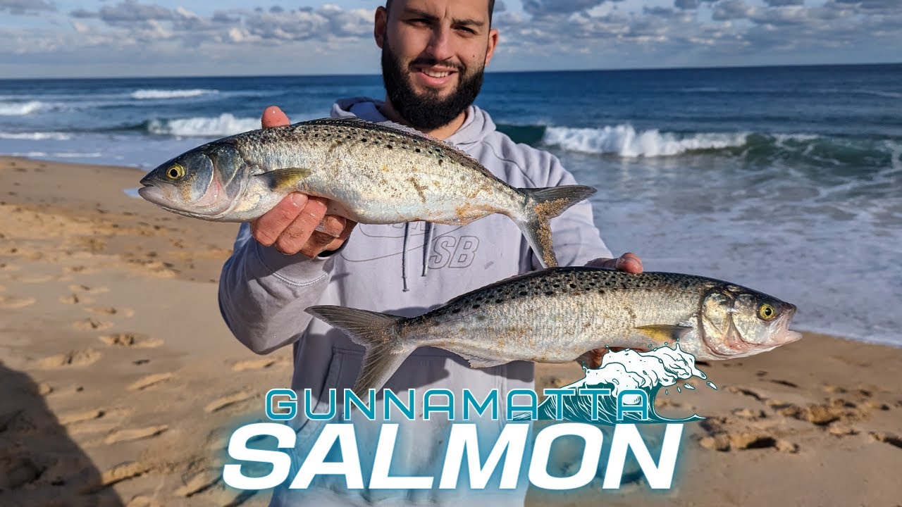 GUNNAMATTA SALMON Fishing - The Winter Stomping Ground!