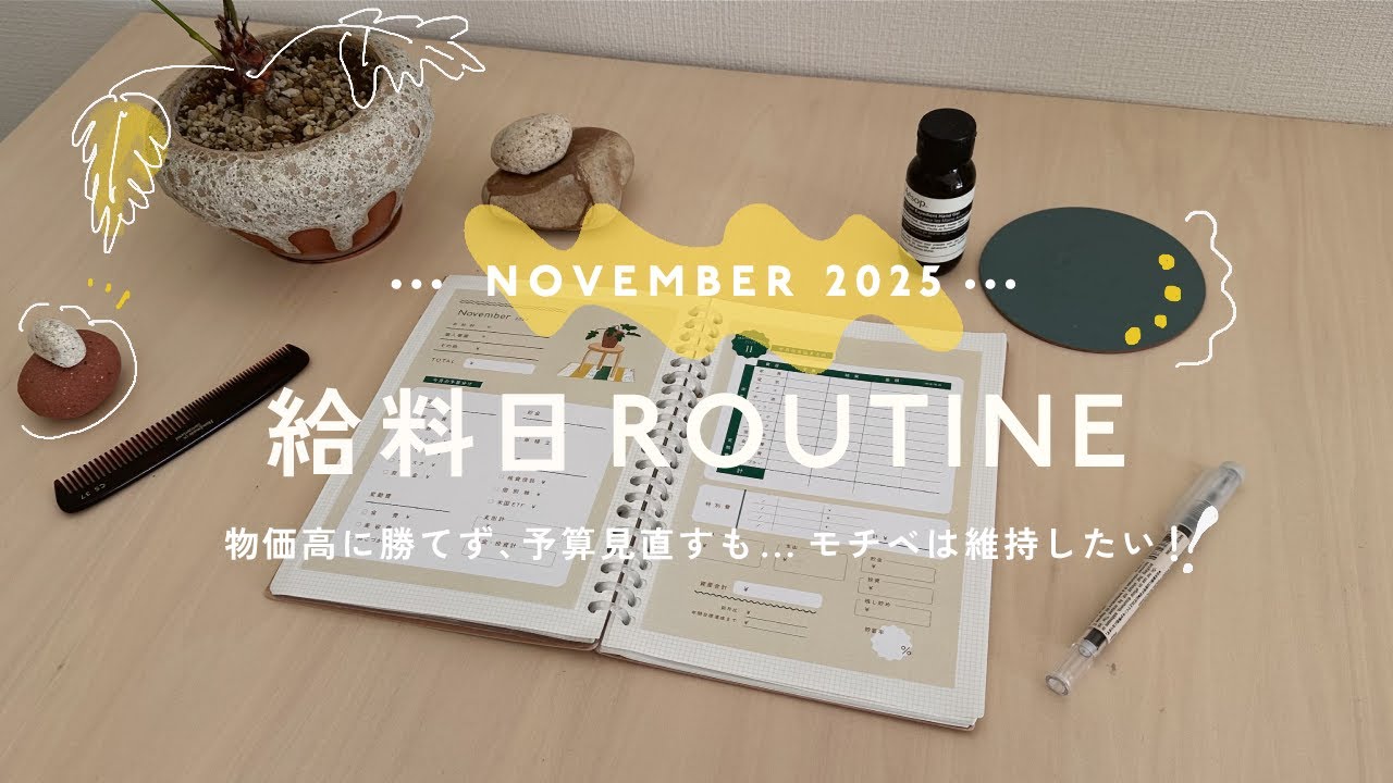11月🧶給料日ルーティン｜物価高でついに予算の見直しをしました😦一人暮らしOLの家計管理｜音声あり