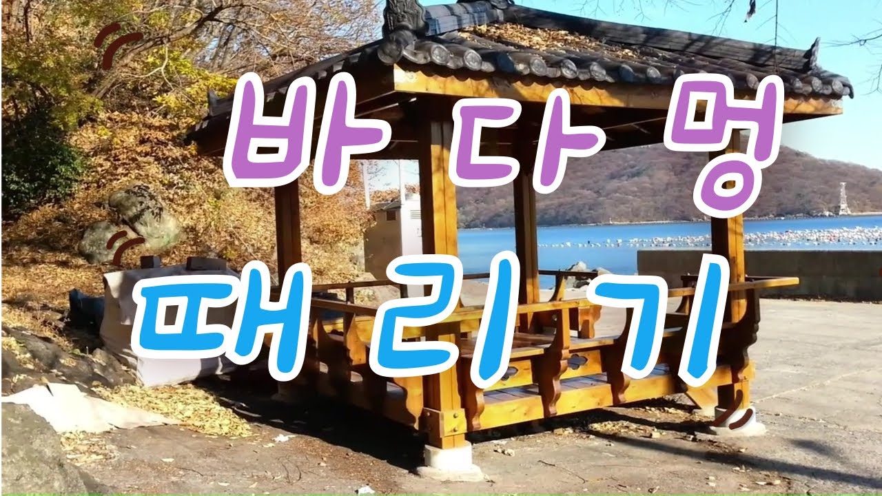 무야산다   바닷가나들이    사궁항에서    바다멍때리기      * * *