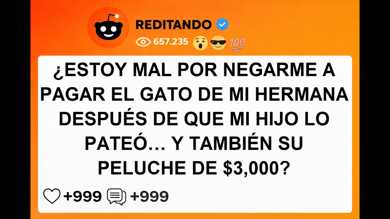 ¿ESTOY MAL POR NEGARME A PAGAR EL GATO DE MI HERMANA DESPUÉS DE QUE MI HIJO LO PATEÓ… Y TAMBIÉN