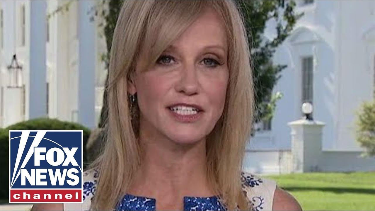 Conway on Hatch Act violations: It is an attempt to 'silence' me