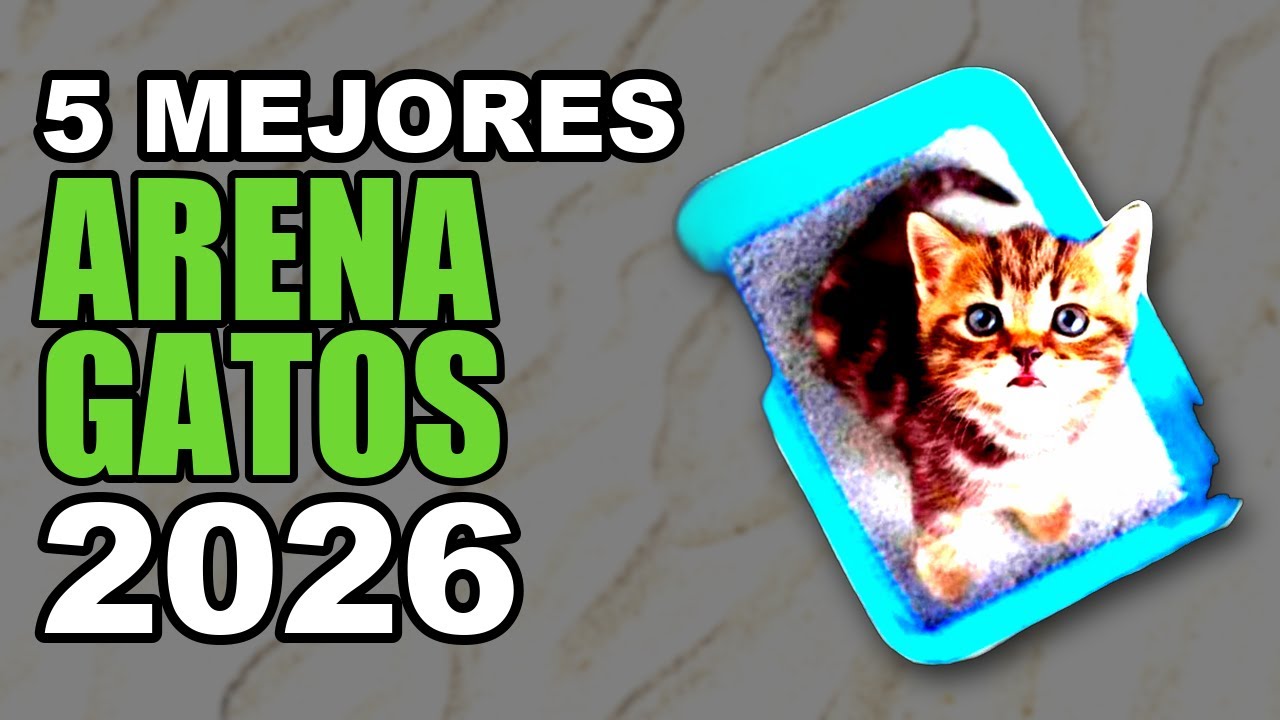 Los 5 mejores mejor areneros para gatos [2025]