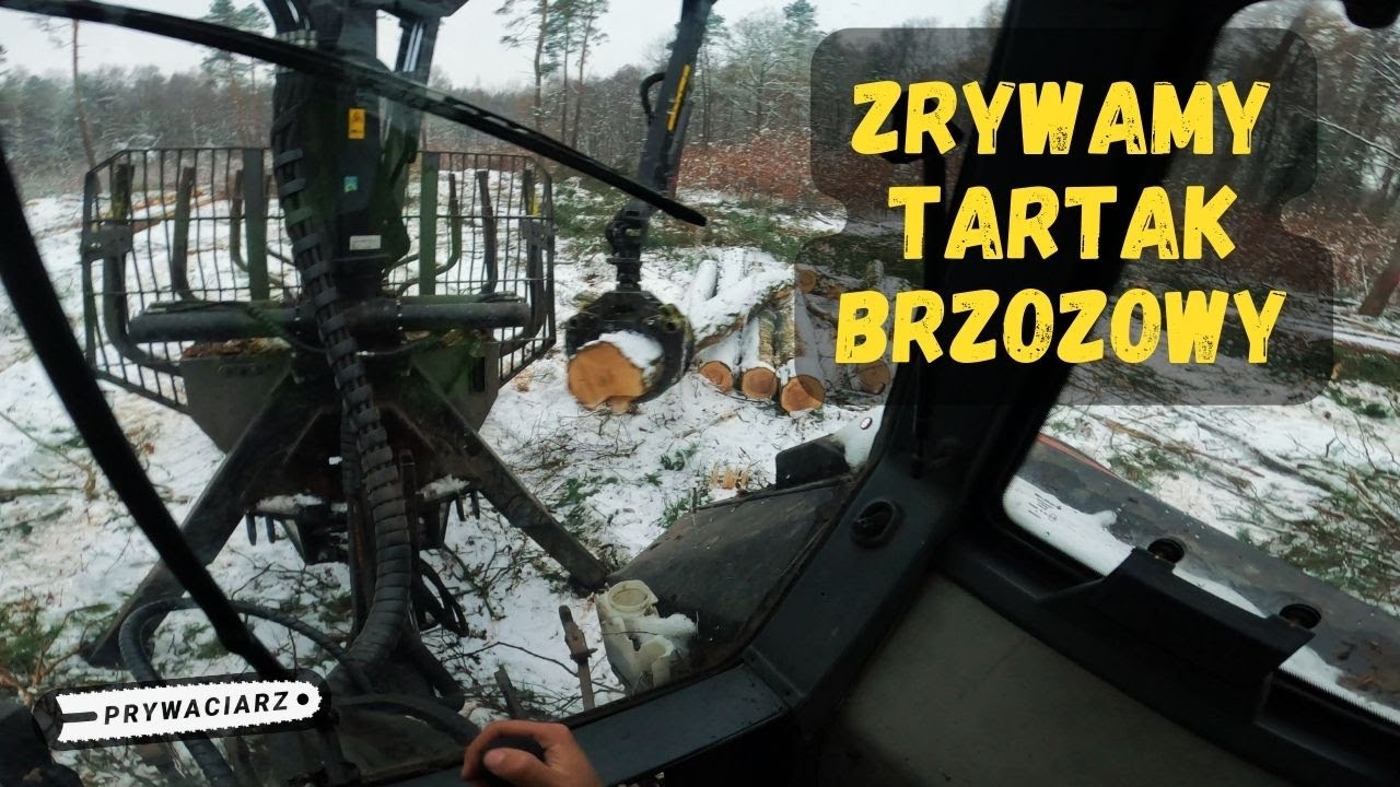 TARTAK BRZOZOWY VS PALMS🌲Valtra 8550🌲Palms 10d | 5.72🌲Prywaciarz