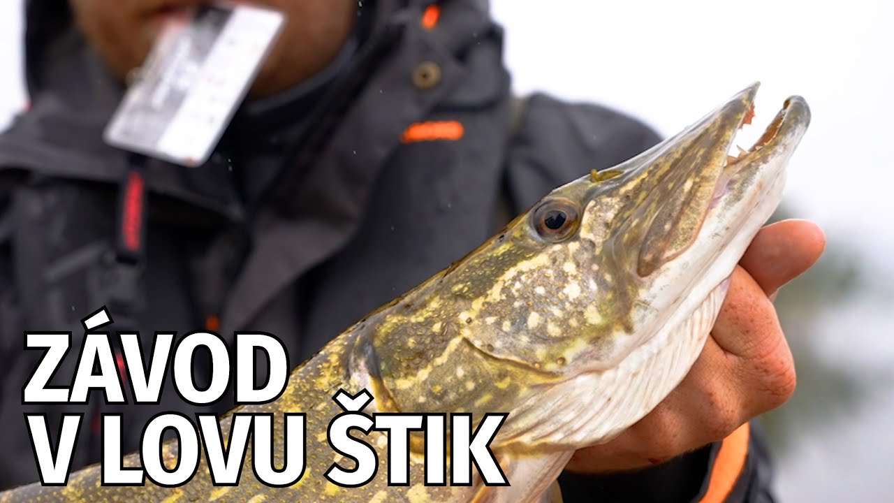 Dva dny ve vodě a blátě. Závod v lovu štik - Pike cup 2024