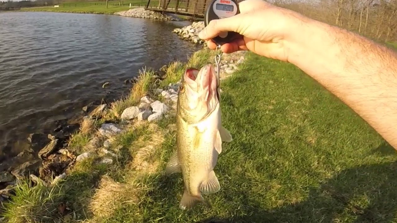 BRB Fishing Early Spring Bass Fishing