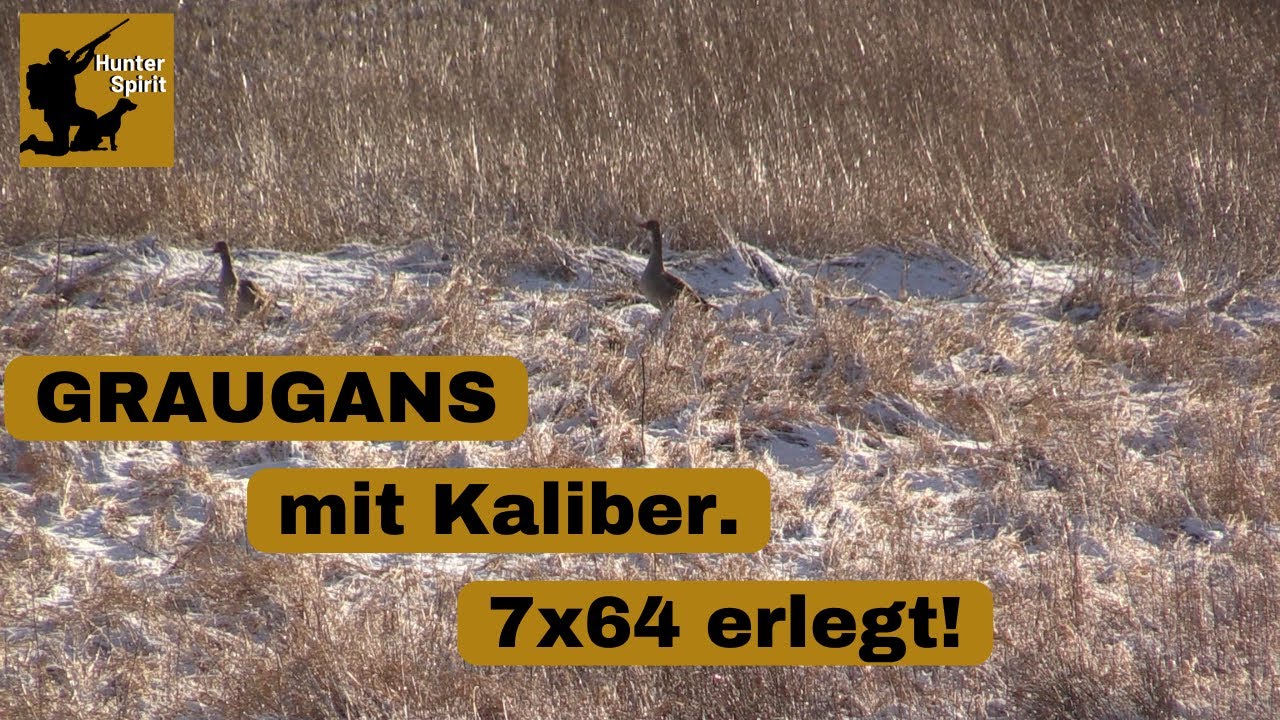 G&Auml;NSEJAGD🦢beim Rehwild ANSITZ✅//Jagd 2024//HunterSpirit