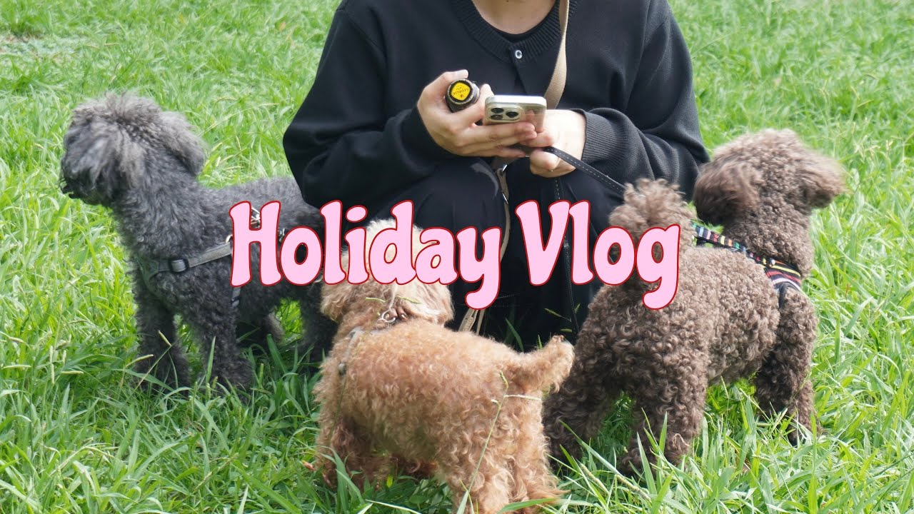 休日Vlog🍂｜読書📕｜Dog🐶｜