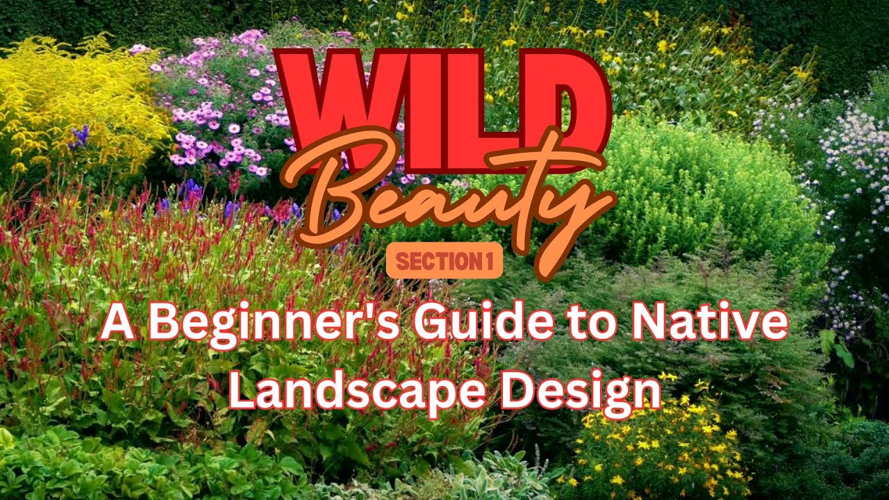 🌿 Welcome to 