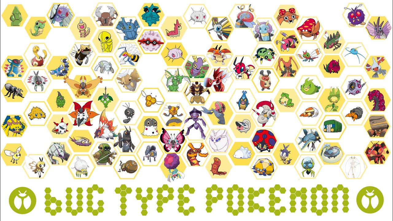 All Bug Type Pok&eacute;mon. Misty , GO AWAY!!