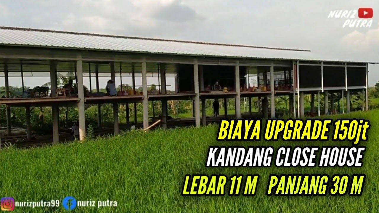PROSES UPGRADE KANDANG OPEN KE CLOSE HOUSE POPULASI 10.000 EKOR