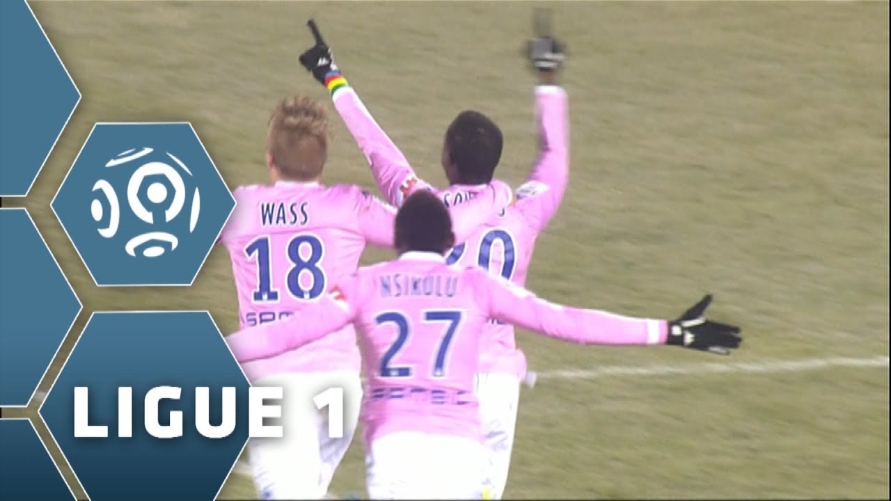 But Pape Amodou SOUGOU (87') - Evian TG FC - Paris Saint-Germain (2-0) - 04/12/13 (ETG - PSG)