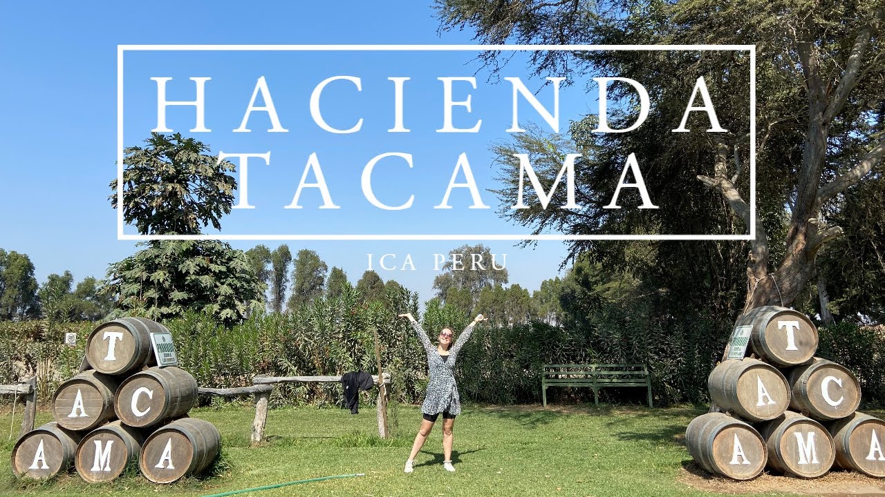 WINE TASTING IN OLDEST WINERY IN SOUTH AMERICA | Tacama Ica Peru 🇵🇪