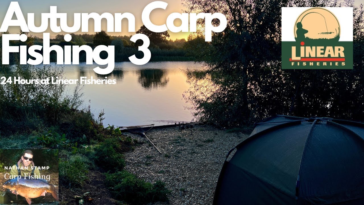 **AUTUMN CARP FISHING** 24hrs on Linear Fisheries Tar farm lake 6