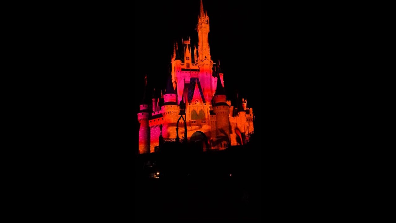 Celebrate the Magic Disney World