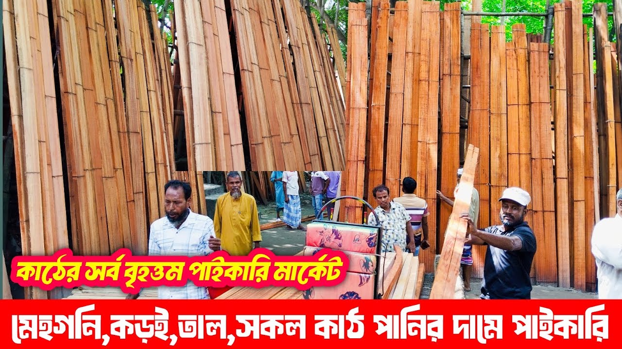 মেহগনি কাঠের বর্তমান দাম ২০২৫ | কাঠের দাম | mahogany wood price in Bangladesh 2025 |