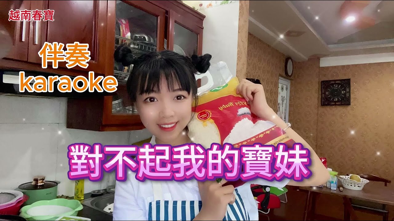 對不起我的寶妹 伴奏 karaoke Tôi rất tiếc, em gái thân yêu của tôi.#2026 #流行音樂 #音樂創作 #原創 #AI