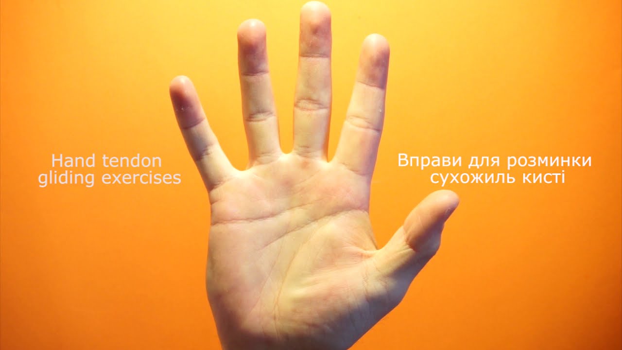 5 tendon glide exercises - 5 вправ для розминки кисті