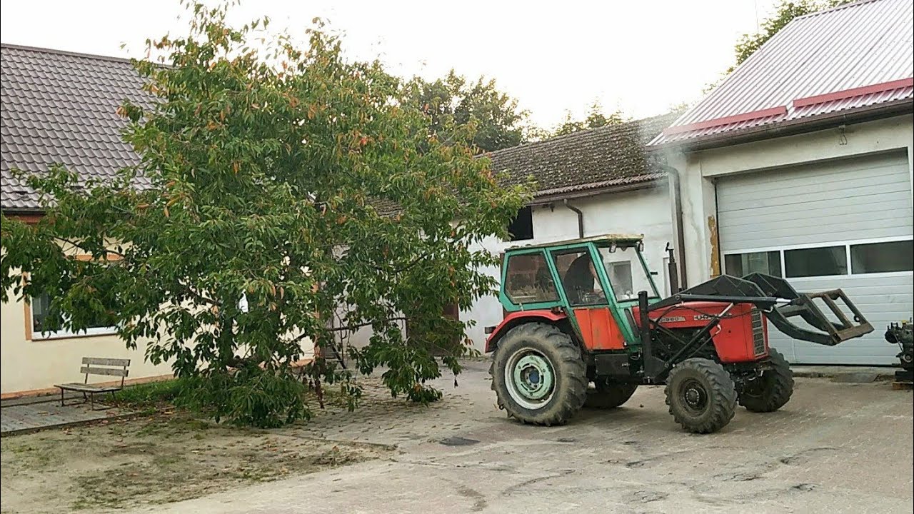 wyrywanie czereśni 4x4 Ursus c-360