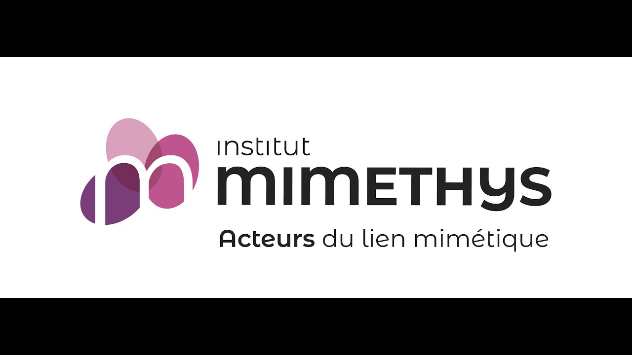 Pratique des mouvements alternatifs et sécurisation