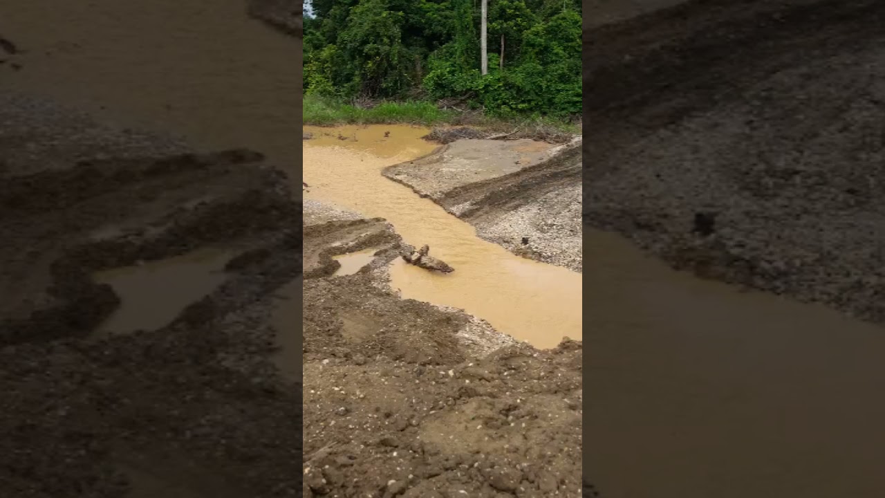 Ghana Galamsey Site #environmentalprotection #ghana #galamsey #ecofriendly #podcast