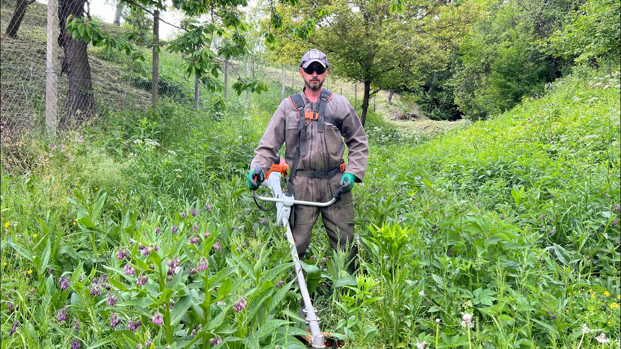 Stihl Fs 560-C with 3,3 mm trimmer line cutting big grass.(Motocoasa Stihl cu fir de 3,3 mm.)