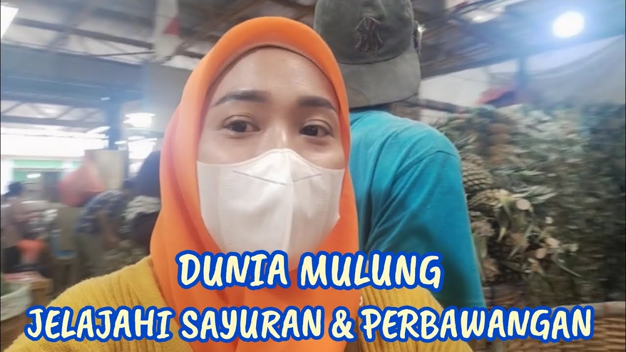 TRAVELING SAYURAN & PERBAWANGAN TANPA MODAL 😲😲