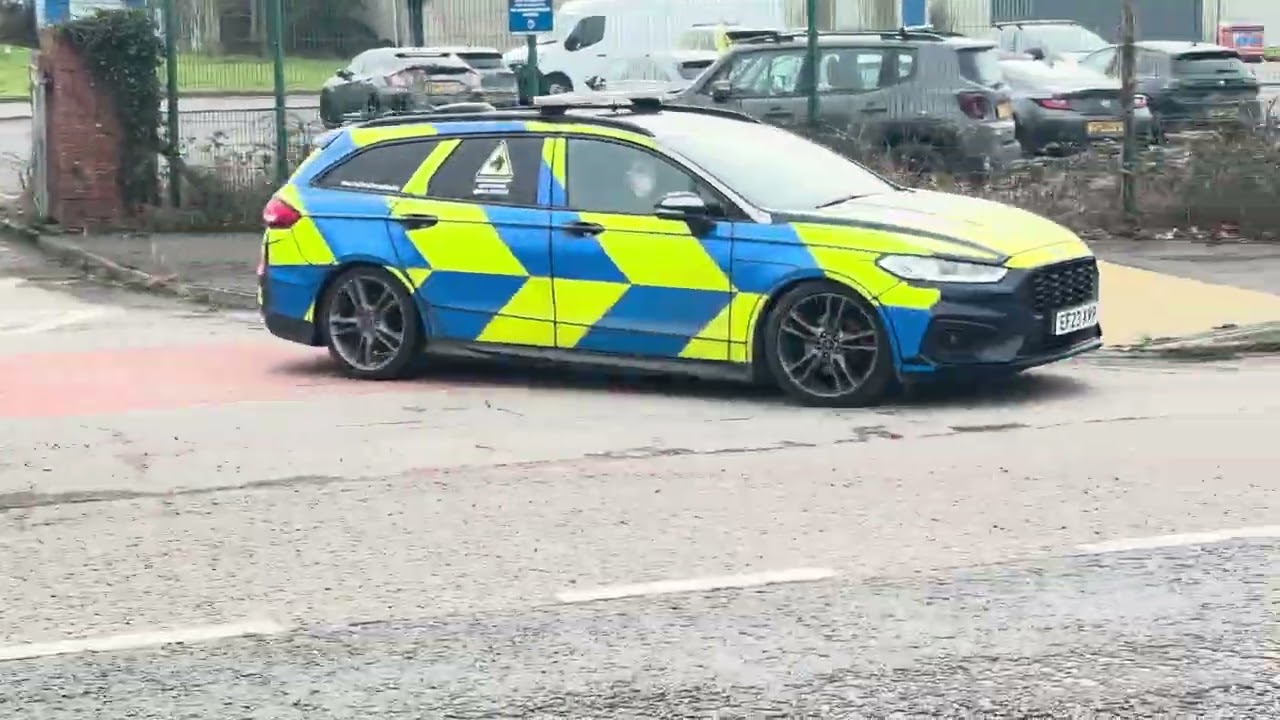 Southwales polices dog momdeo leaving with a light demonstration 