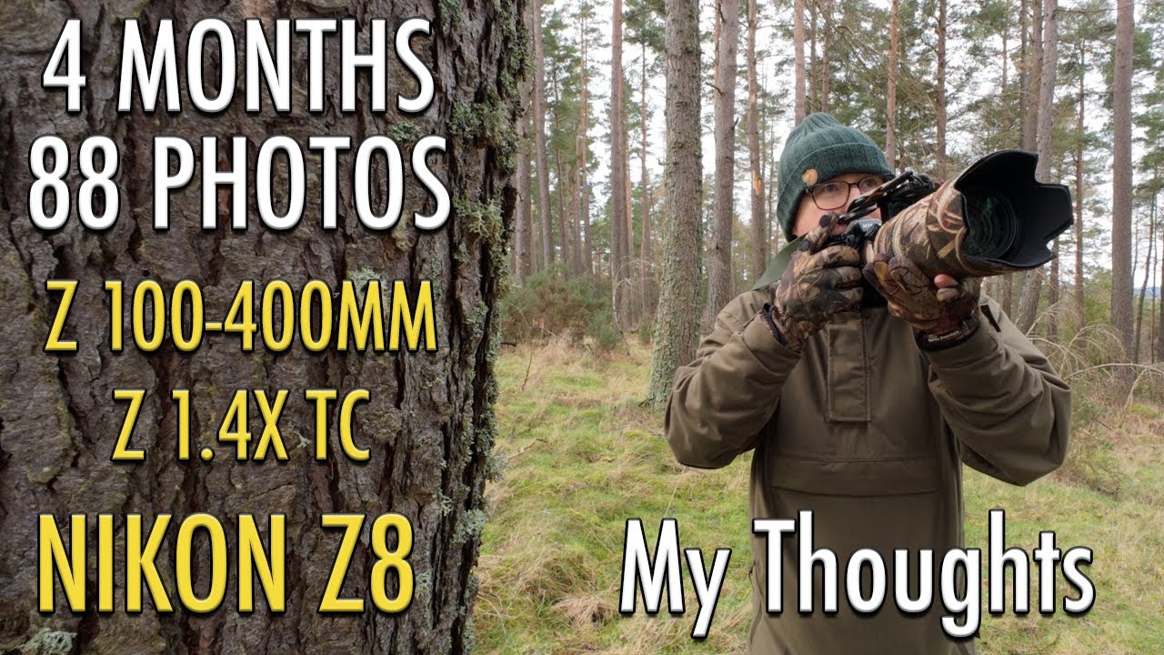 4 Months of Wildlife Photography using Nikon Z8 + Z 100-400mm + Z 1.4x Teleconverter - My Thoughts