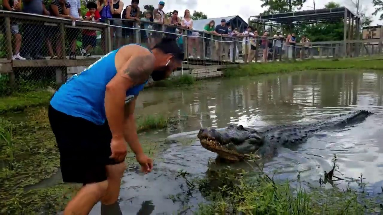 Gator Country Adventure Park