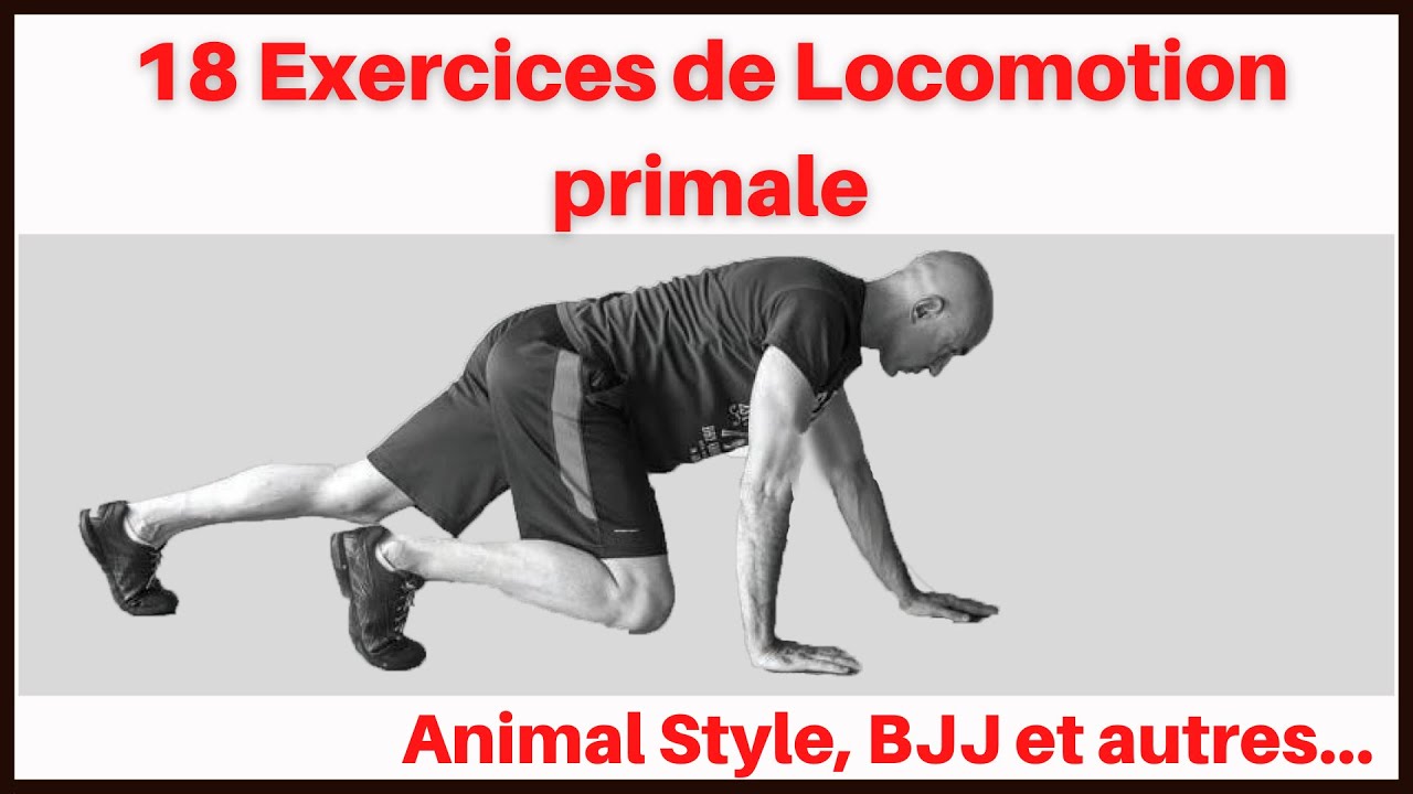 18 Exercices de Locomotion au Sol  (quadrupédie, reptation ou inspirés du BJJ et du MMA)