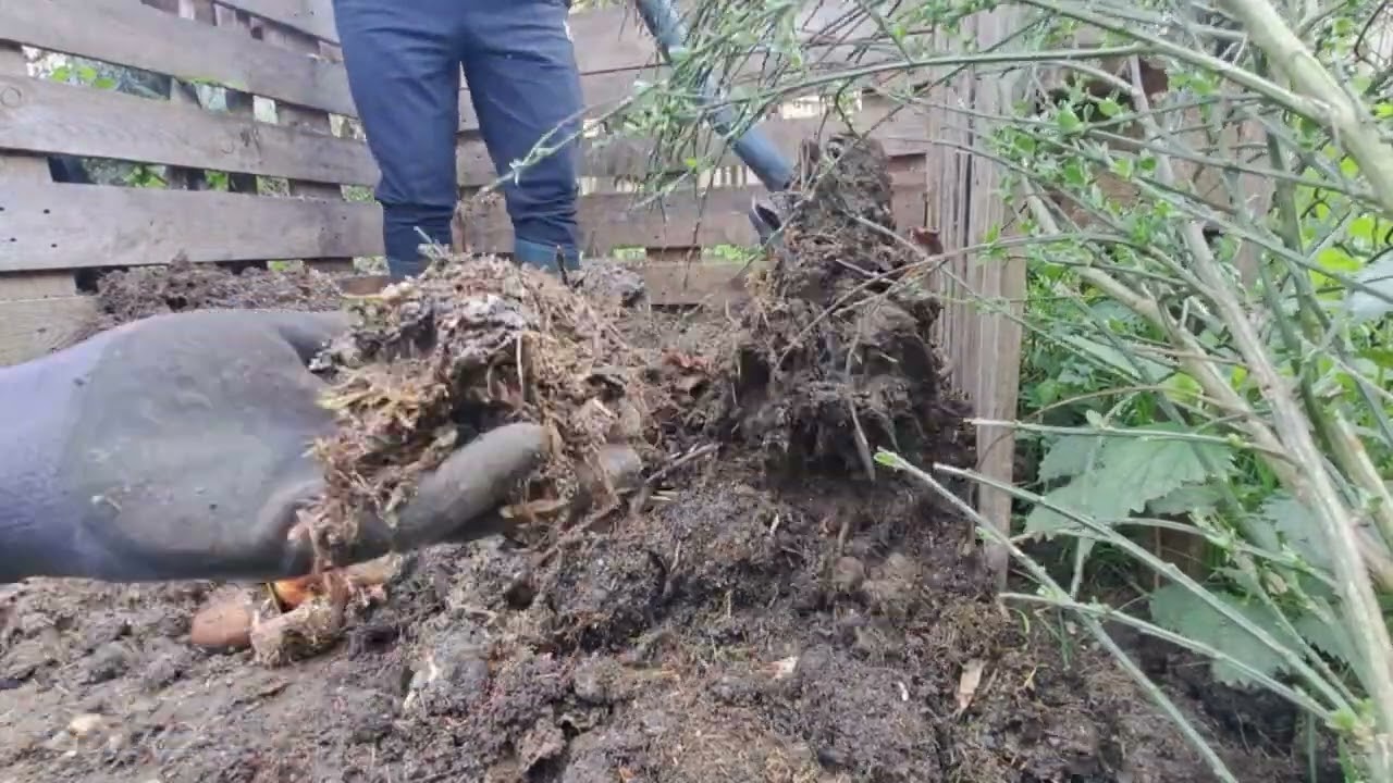 Jak zabezpieczyłam mój kompostownik przed szczurami? Mój sprawdzony sposób!