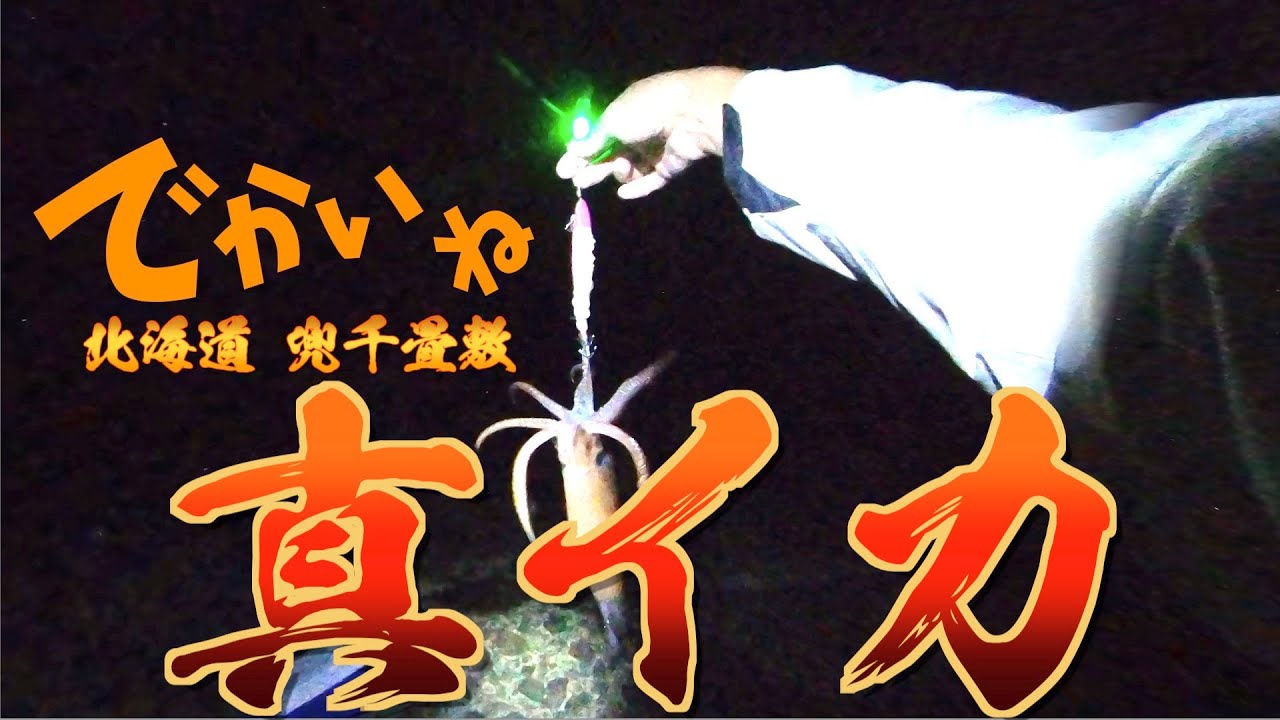 【北海道】【兜千畳敷】全長40cm超の真イカが釣れたよ！
