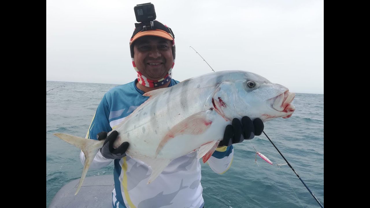 Qatar Boat Fishing Jigging trip by Qataranglers