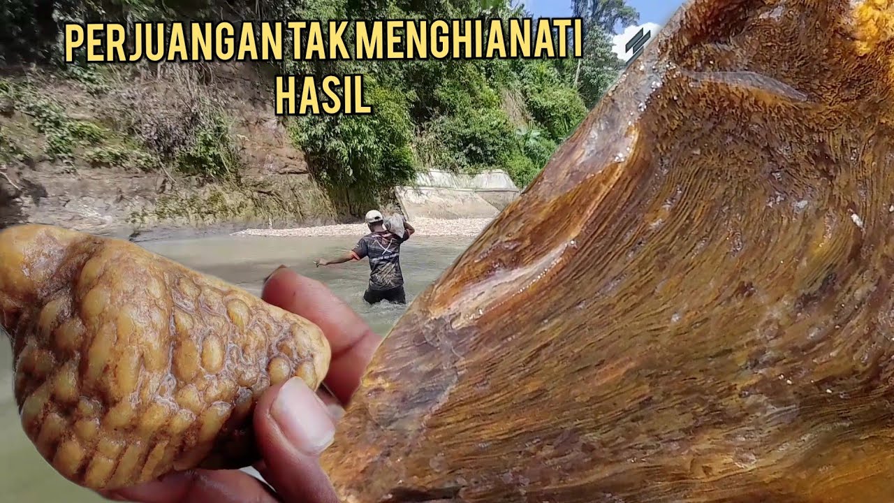 Batu akik terindah seperti lukisan_batu akik fosil teratai Diamond gems hunter agates beautifull