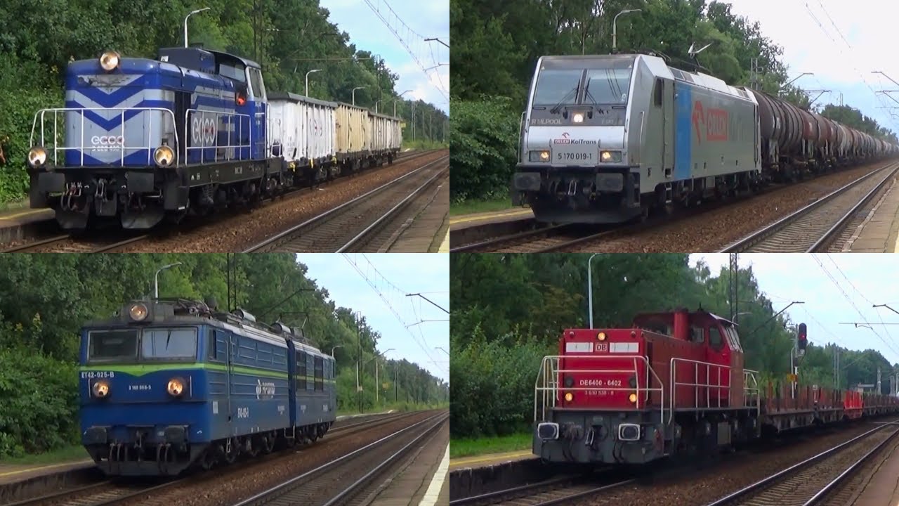 SM42 ECCO Rail, DE6400 DB Cargo, E483 ORLEN, ET41, ET42 i ST48 PKP Cargo | 19.08.2021