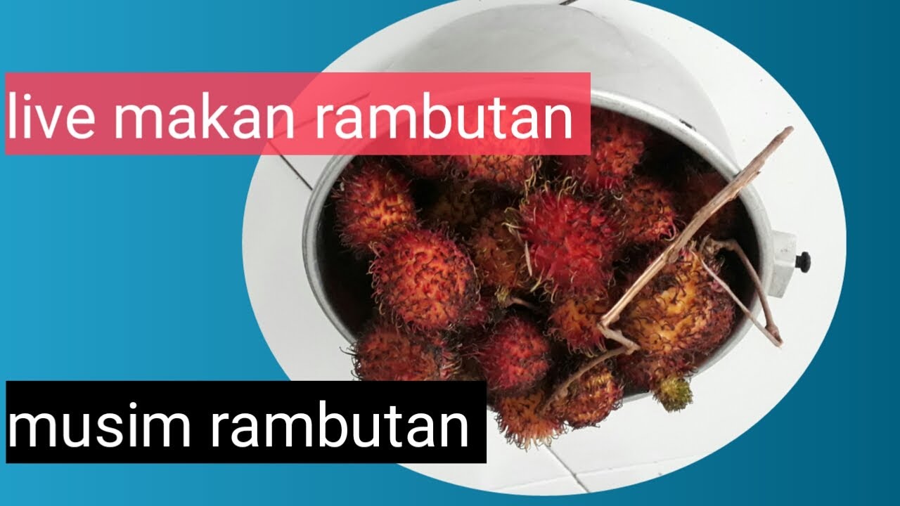 MAKAN  RAMBUTAN   #makanrambutan