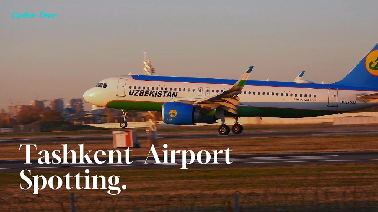 Tashkent Airport Spotting. 26.11.2024