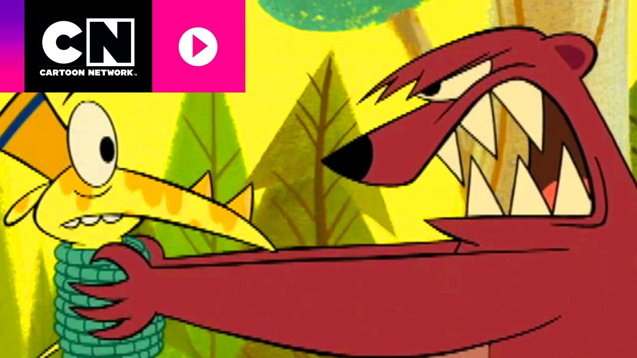 Hipo | El campamento de Lazlo | Cartoon Network