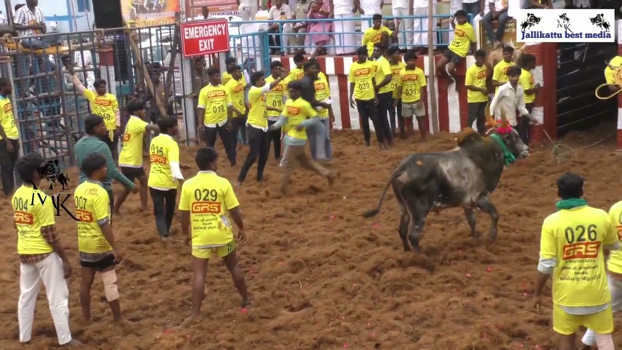 🔥 சக்குடி ஜல்லிக்கட்டு திருவிழா 🐂 அரங்கமே அதிர்ந்தது!